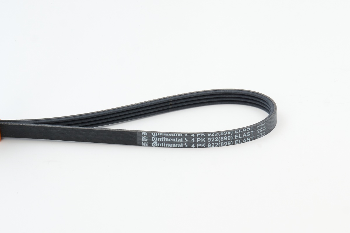 CONTITECH CINGHIA PV ELASTICHE (5^)